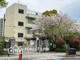 八尾市立八尾小学校の画像