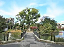 桃ケ池公園