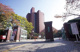 日本大学文理学部の画像