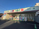 ドラッグセイムス 川口西店の画像