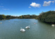 洗足池公園の画像