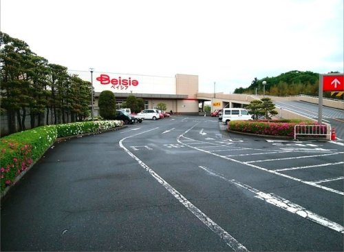 ベイシア寄居店