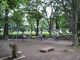日野中央公園の画像