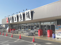 角上魚類日野店