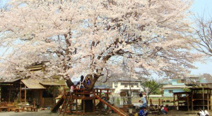 ひかりの子認定こども園