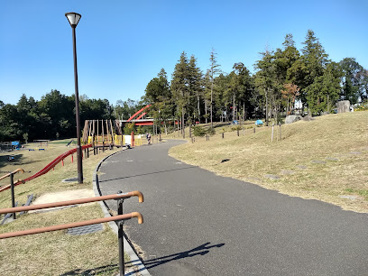 芹沢公園の画像1