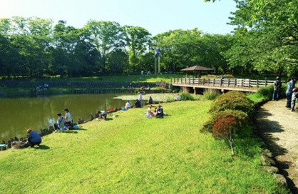 笠幡公園の画像1