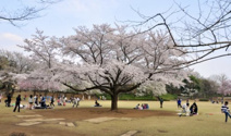 御伊勢塚公園
