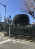 砂新田公園