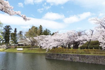 鶴岡公園