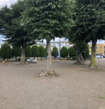 並木身長公園