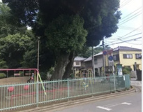 下丹草公園