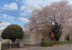 桜南小学校の画像