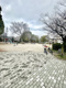 都島公園の画像