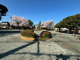 大和市慰霊塔公園の画像