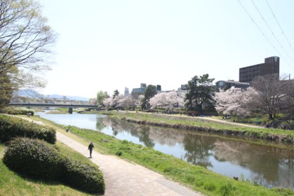 賀茂川の画像2