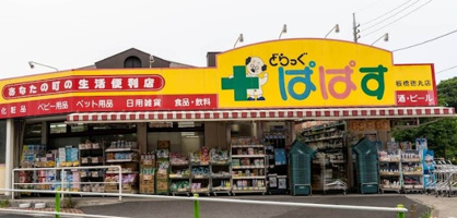 どらっぐぱぱす 板橋徳丸店の画像1
