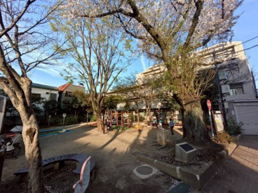 西荻南児童公園の画像1