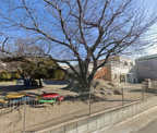 認定こども園大野幼稚園