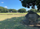 姥山貝塚公園の画像