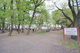 伊佐沼公園の画像
