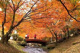 祇園公園の画像