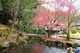 龍野公園の画像