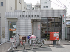 の画像