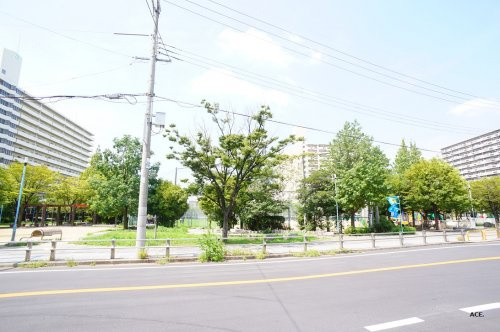 の画像