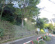 松の川緑道の画像