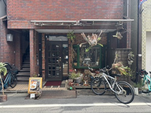 カフェガルブの画像