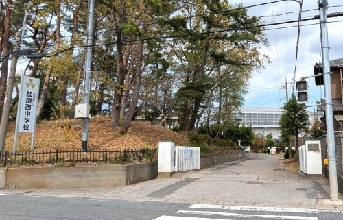 の画像