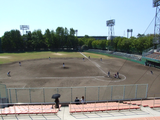 の画像