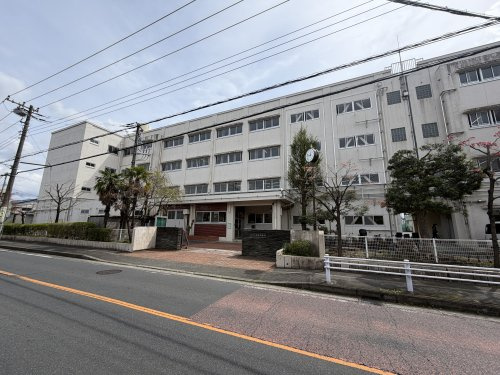 横浜市立新田中学校
