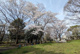 横川下原公園の画像
