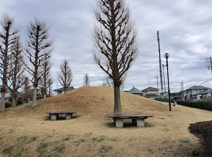 公園 築山公園