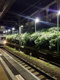 東松原駅の画像