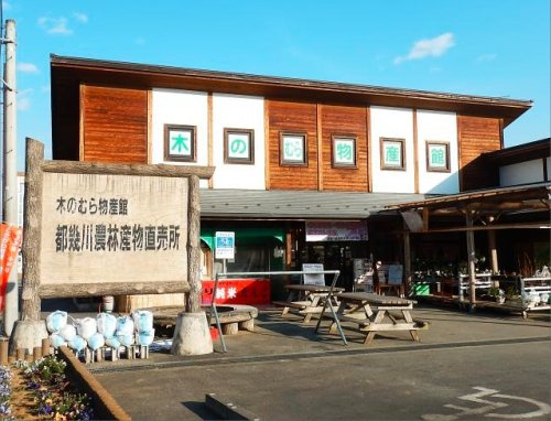 の画像