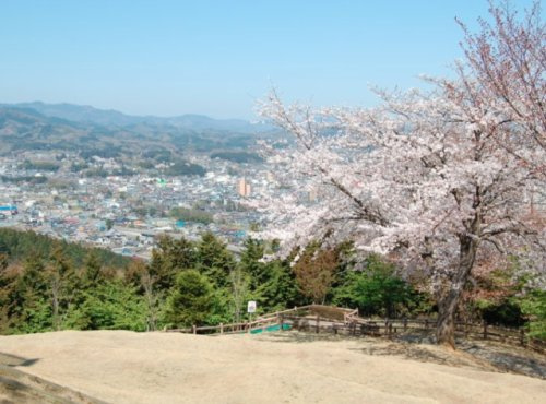 の画像