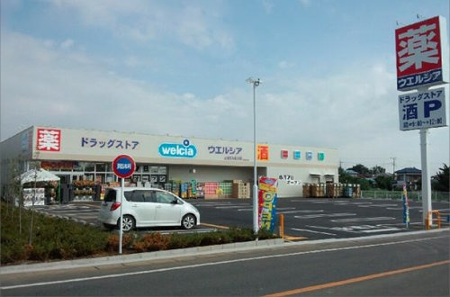 の画像