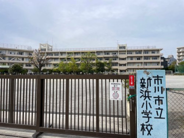 市川市立新浜小学校の画像1