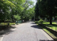 富士森公園の画像