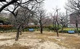 西嶺高砂公園の画像