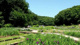吹上しょうぶ公園の画像