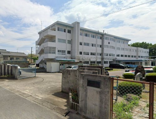 の画像