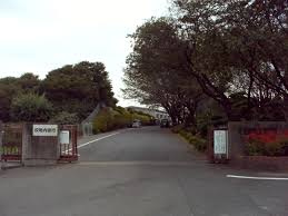 の画像