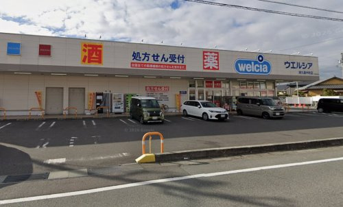 の画像
