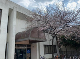 市役所・区役所 鵠沼市民センター