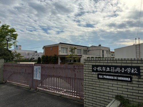 の画像