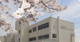 春日部市立江戸川小中学校（小中一貫教育）の画像